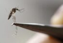 Governo gaúcho confirma mais uma morte por dengue no Estado; total chega a 27